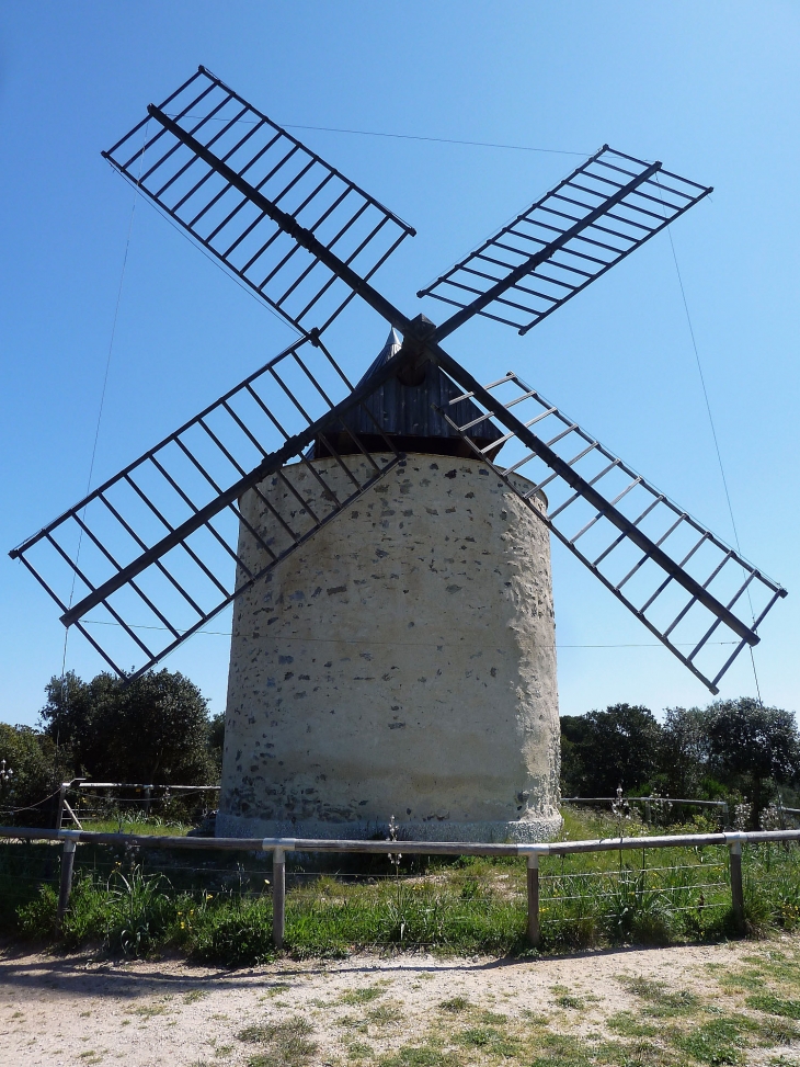Ile de Porquerolles :le moulin - Hyères