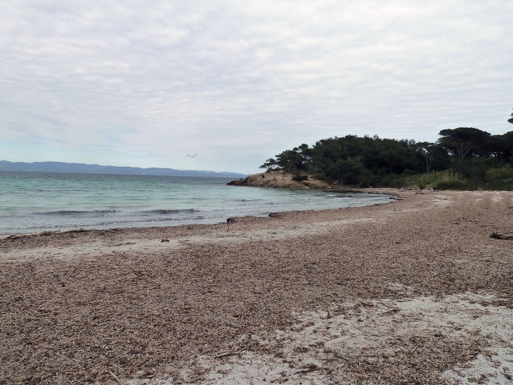 Ile de Porquerolles :plage - Hyères