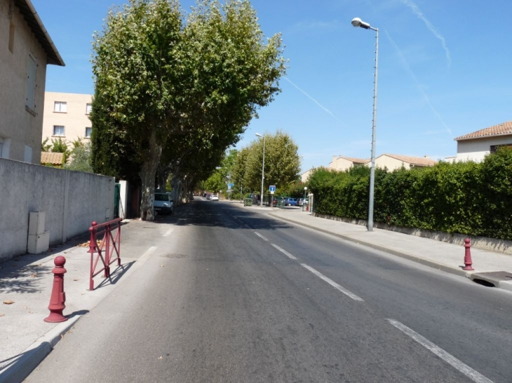 Avenue 1ère DFL - La Crau