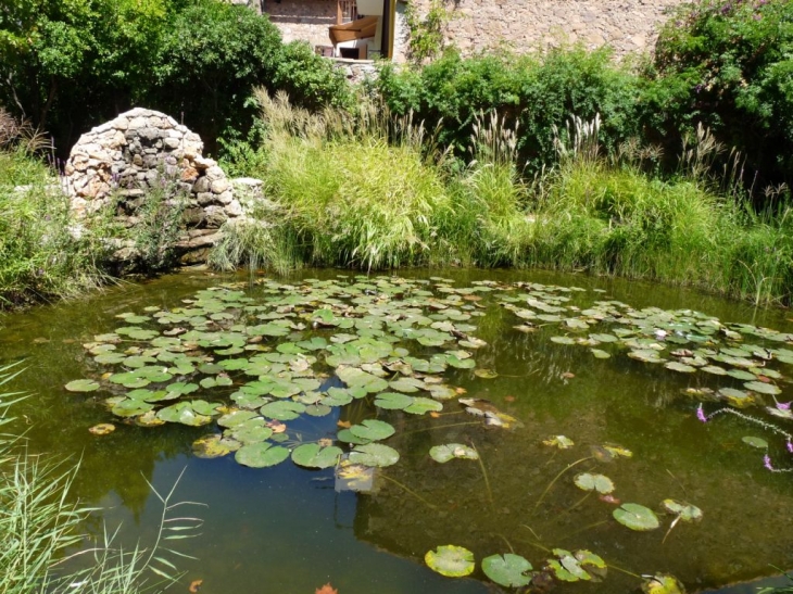 Dans le jardin communal - La Farlède