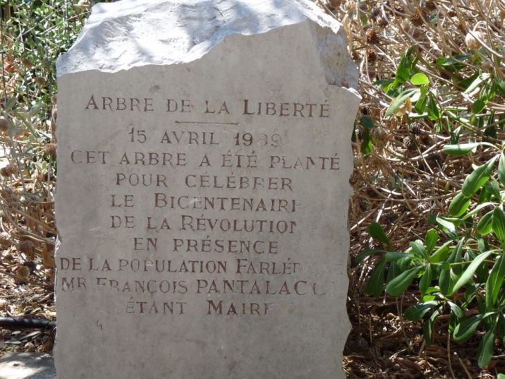 L'arbre de la liberté - La Farlède