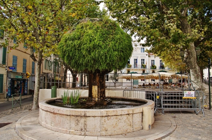 Fontaine - Le Beausset