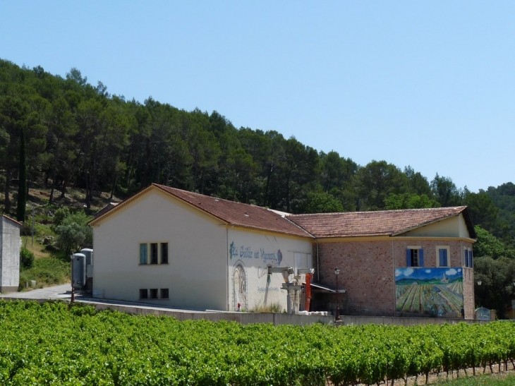 Dans le village, la coopérative vinicole - Le Thoronet