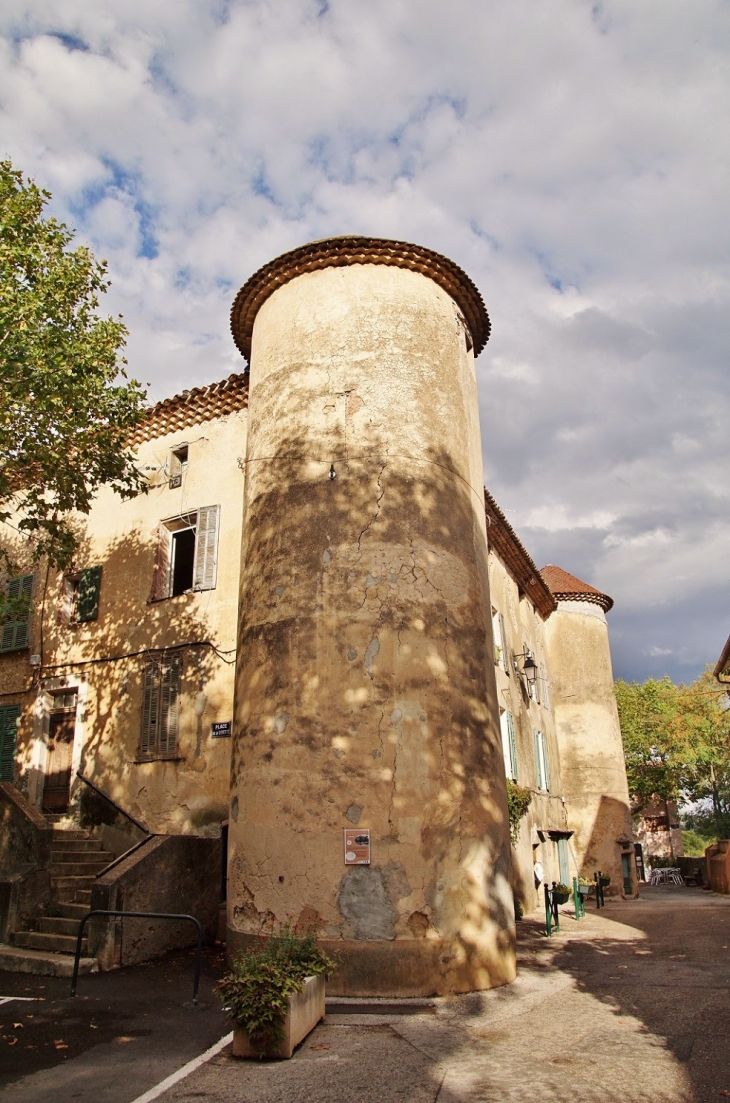Le Château - Néoules