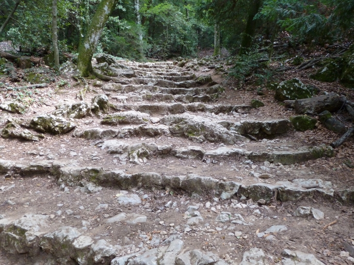 Chemin de la grotte de la  Ste Baume - Plan-d'Aups-Sainte-Baume