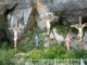 Photo suivante de Plan-d'Aups-Sainte-Baume Grotte de la  Ste Baume