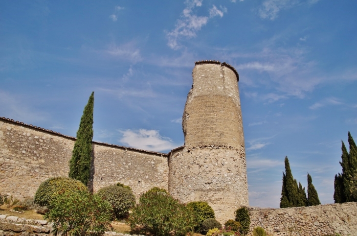 Ruines du Château - Pontevès