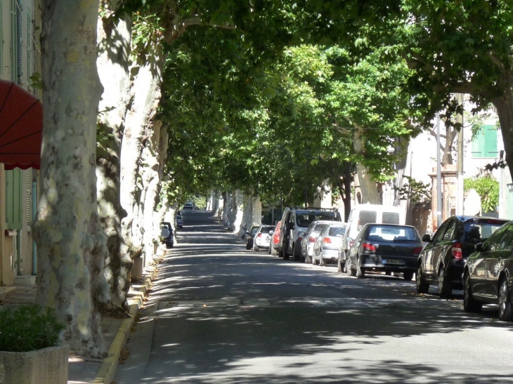 La route de Toulon - Puget-Ville