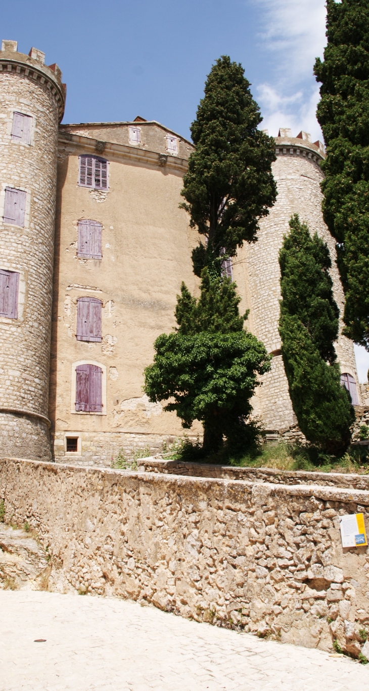 ,Château de Saint-Martin de Pallieres - Saint-Martin-de-Pallières