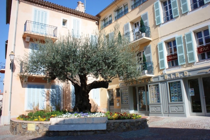 Sainte Maxime village - Sainte-Maxime