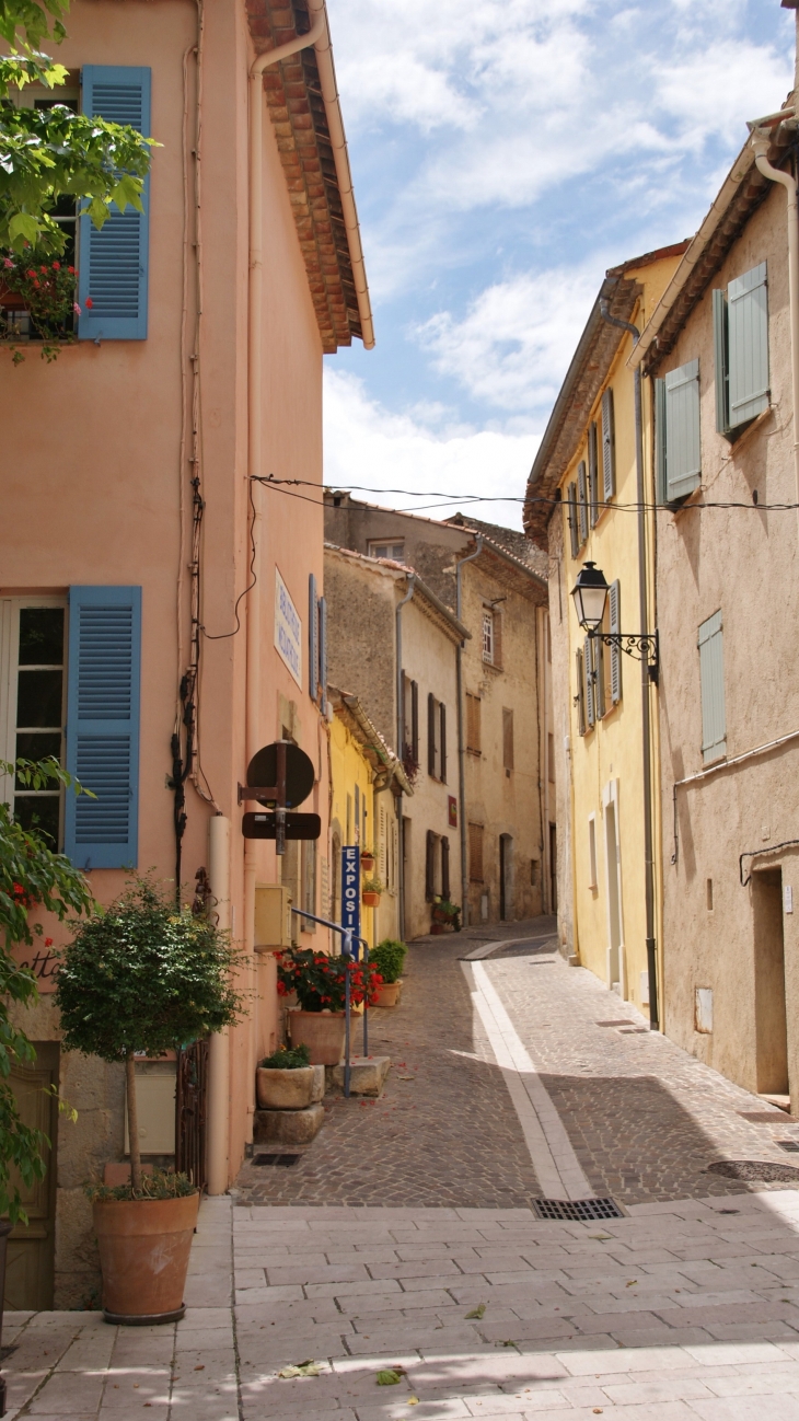 Photo à Tourrettes (83440) Tourrettes, 194117