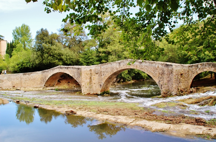 Pont-Romain - Vins-sur-Caramy
