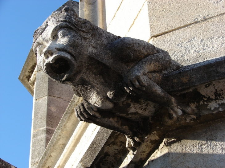 Le Palais des Papes - Avignon