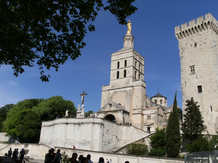 Cité des papes  - Avignon