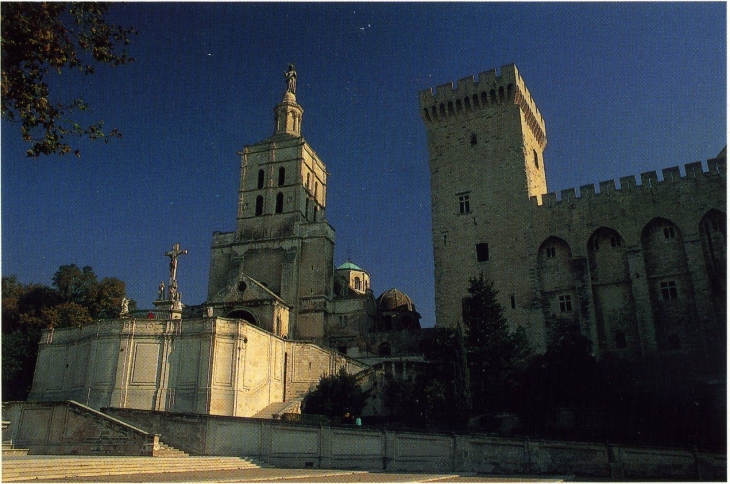 La Cité des Papes (carte postale de 1995) - Avignon