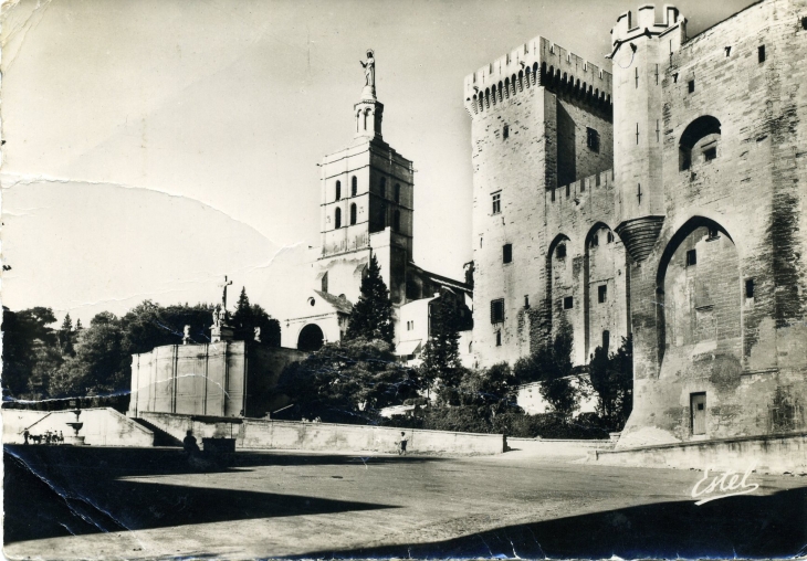 Notre Dame des Doms et la Tour de la Campane (carte postale de 1950) - Avignon