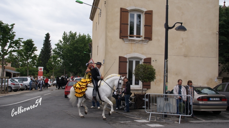 La féte du cheval a Bedarrides - Bédarrides