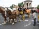 Photo suivante de Bédarrides la féte du cheval a Bedarrides