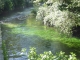 Photo précédente de Fontaine-de-Vaucluse la Sorgue