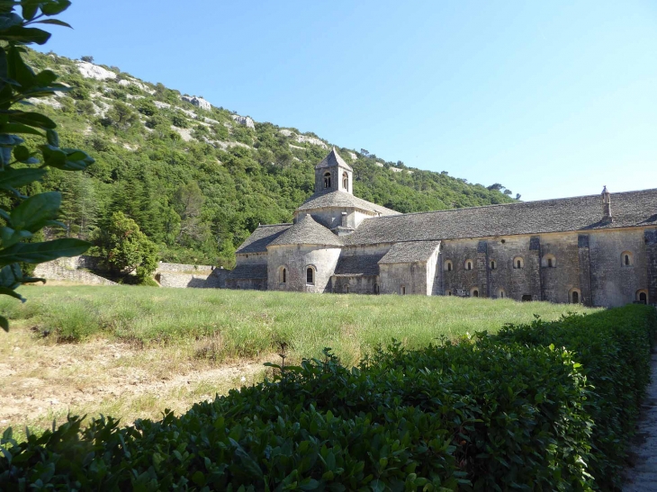 L'abbaye de Senanque - Gordes