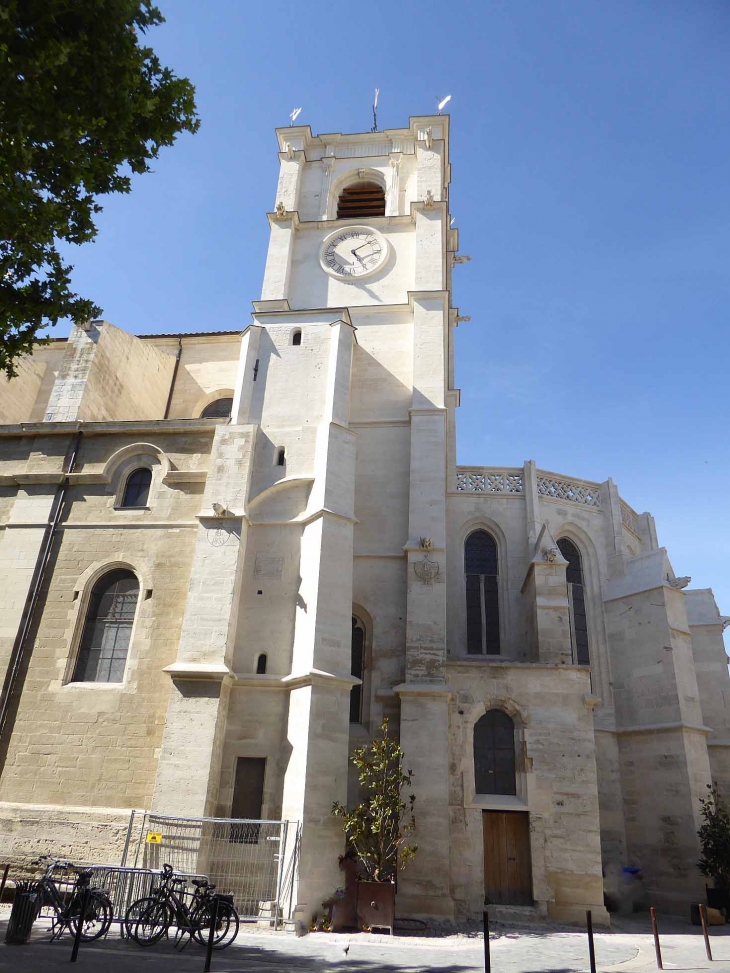 La collégiale Notre Dame des Anges - L'Isle-sur-la-Sorgue