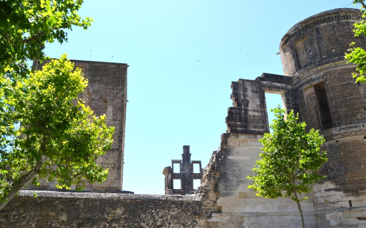   Château De La Tour-D'Aigues 11 Em Siècle 