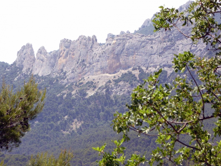 Sous les dentelles de Montmirail - Lafare
