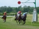 Hippodrome de Roberty - Plusieurs réunions de courses sont organisées chaque année