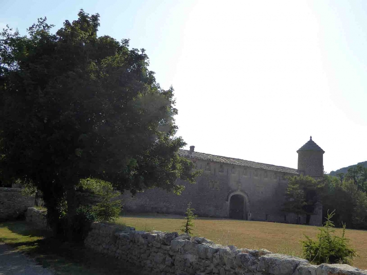 Vue sur le château de Javon - Lioux