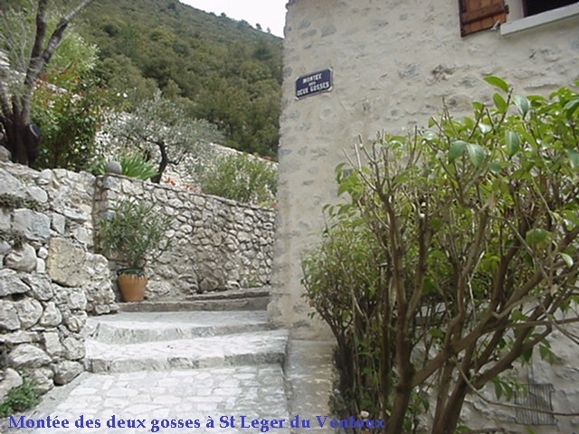 Montée de deux gosses - Saint-Léger-du-Ventoux