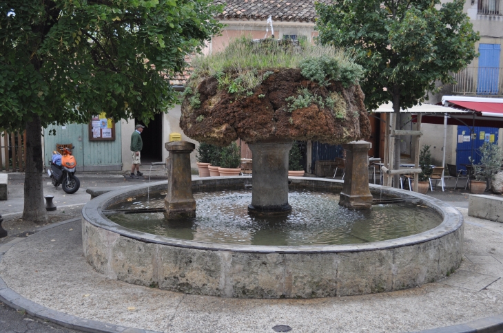La fontaine végétale - Vaugines