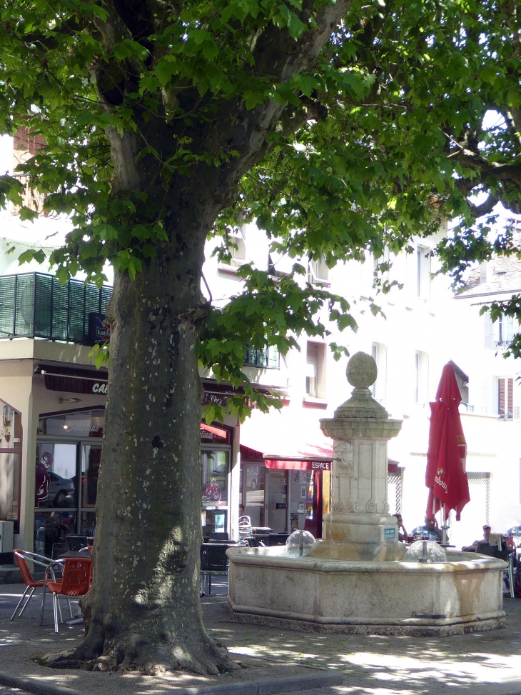 Fontaine dans la ville - Belley