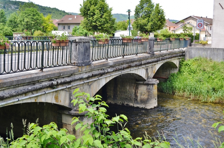 Pont sur L'Ange - Brion