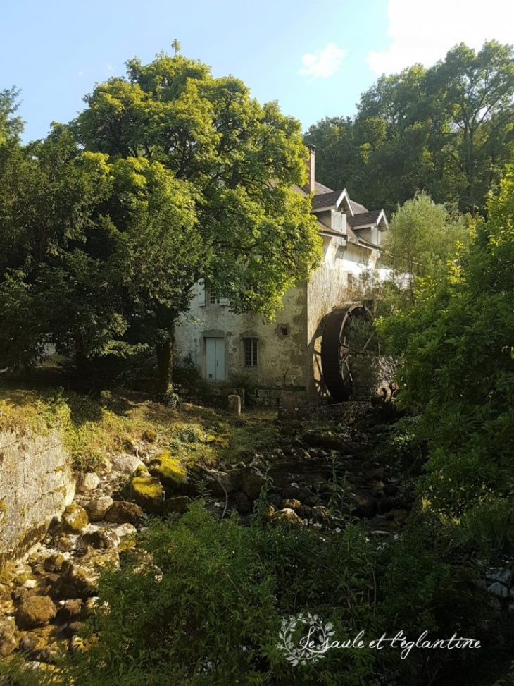 Moulin du hameau de Dorches datant de 1835 ( saule-eglantine.fr ) - Chanay