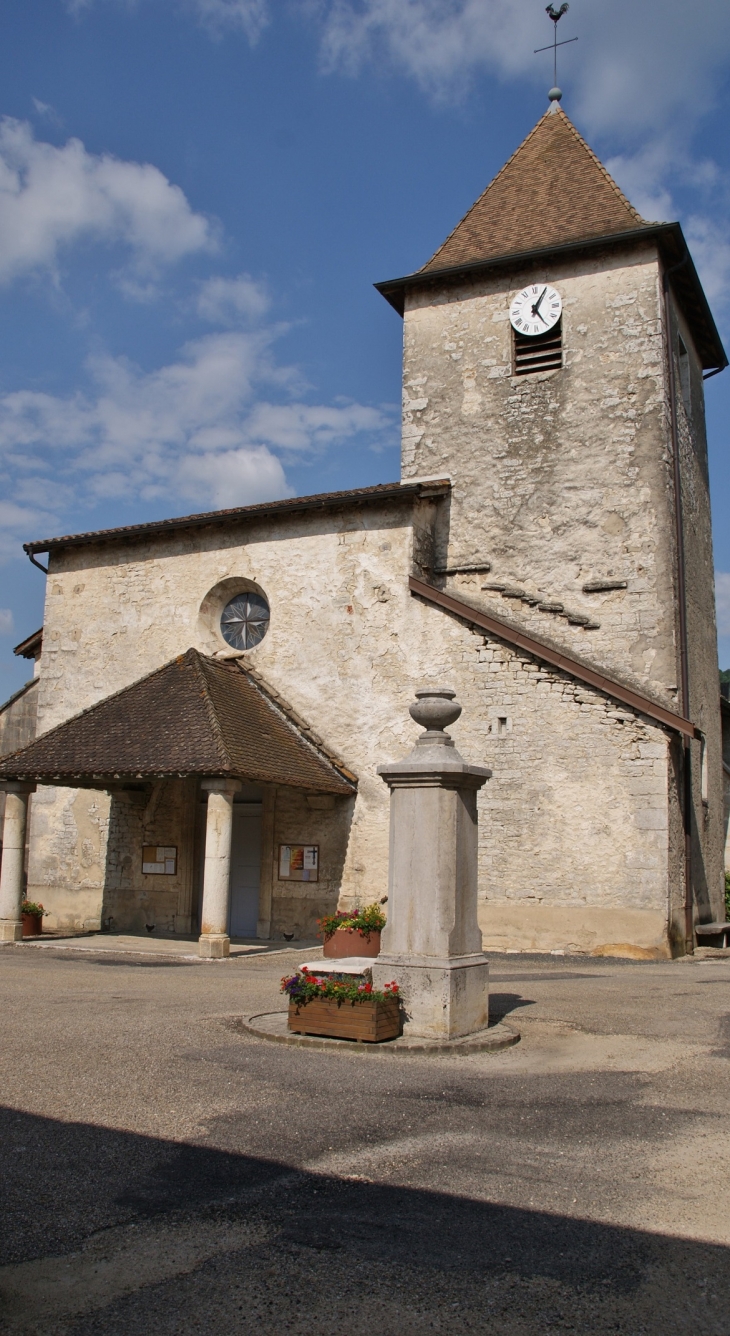    église Saint-Pierre - Chavannes-sur-Suran