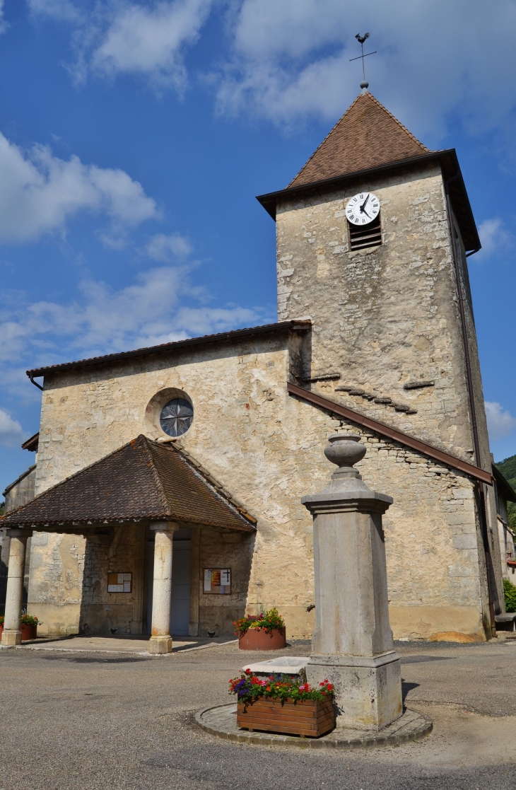   église Saint-Pierre - Chavannes-sur-Suran