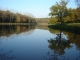 Photo suivante de Coligny étang de fougemagne 