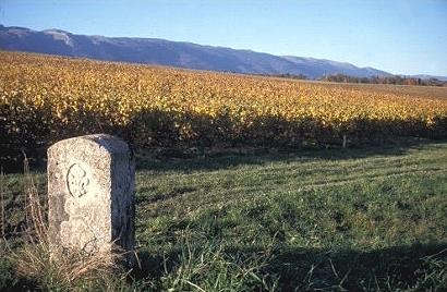 Paysage - Collonges