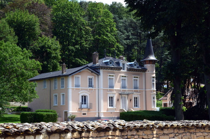 Château - Jassans-Riottier