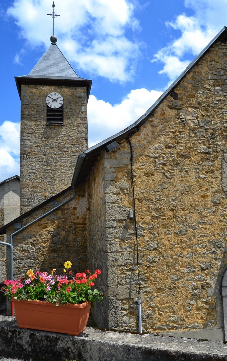 &église Sainte-Anne - Nivollet-Montgriffon