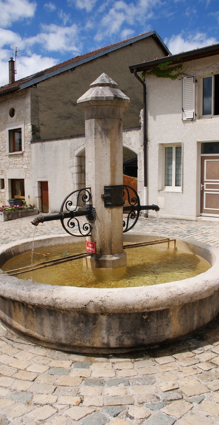 Veyziat commune d'Oyonnax ( Fontaine )