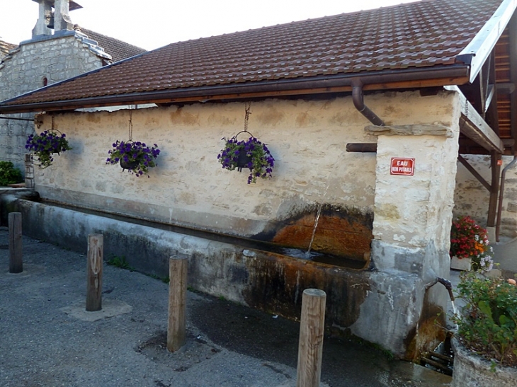 La fontaine. Le 1er Janvier 2017  les communes Chazey-Bons et  Pugieu ont fusionné pour former la nouvelle commune Chazey-Bons