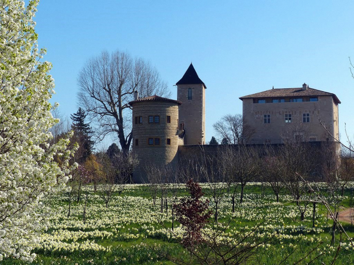 Vue du château - Saint-Bernard