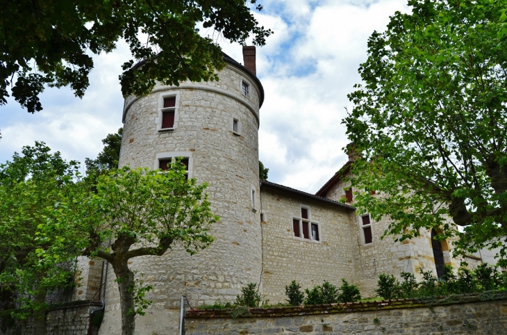 (Château de Treffort) - Treffort-Cuisiat