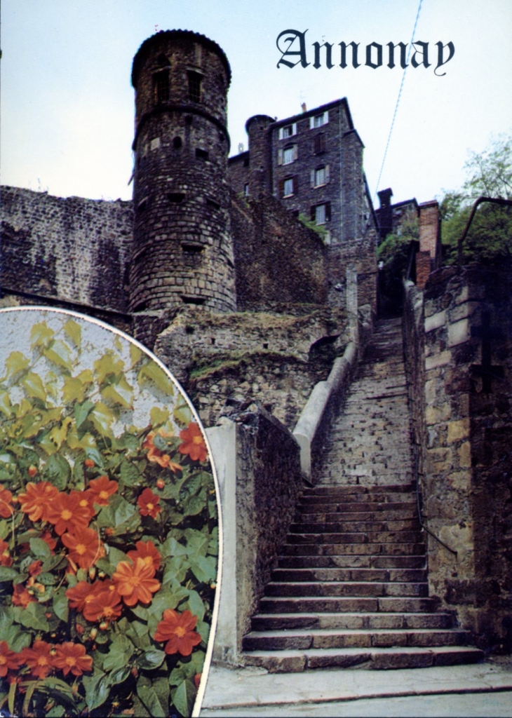 La Tour des Martyrs, reste des fortifications du XVIe siècle. - Annonay