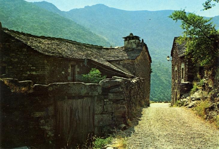 Environs des Vans - Village de Thines (carte postale de 1970) - Laurac-en-Vivarais