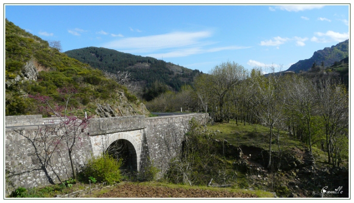 Photo à Laviolle (07530) Laviolle, 14943