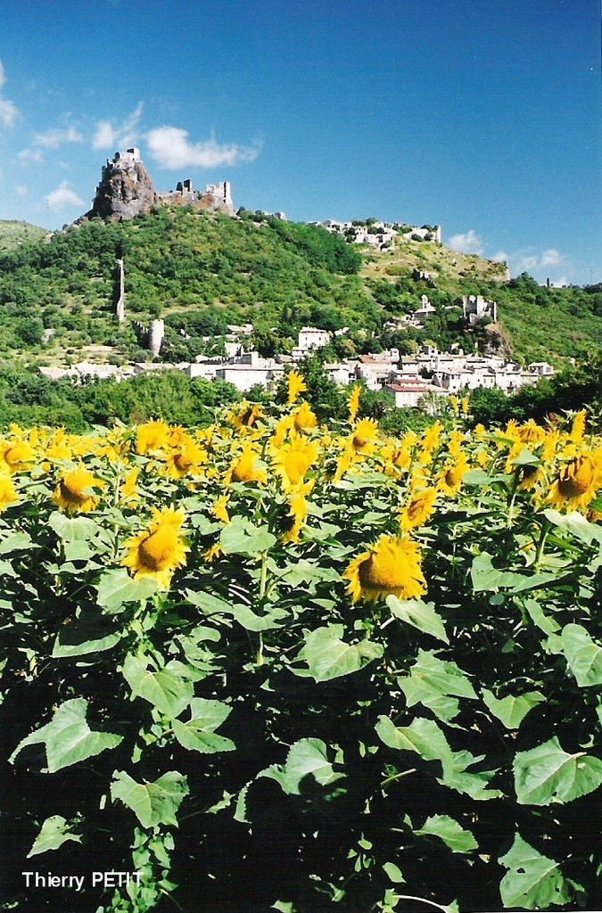 Le village et son Château - Rochemaure