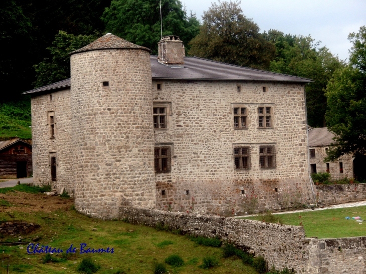 Château de Baumes - Saint-André-en-Vivarais