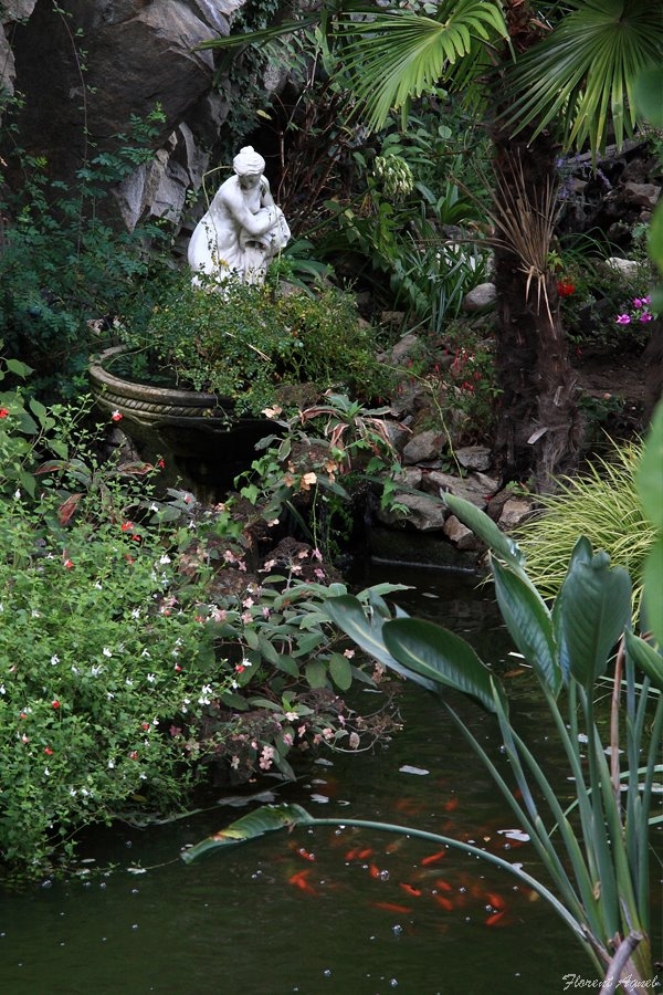Le bassin aux poissons au jardin d'Eden - Tournon-sur-Rhône